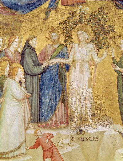 Cristo benedice il matrimonio mistico di San Francesco con la Povertà, 1330 da Giotto di Bondone